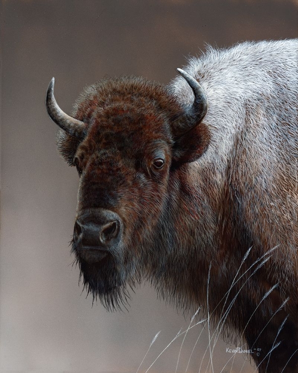 Picture of BISON