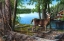 Picture of BUCK WATCH
