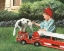 Picture of SPARKY THE DALMATION