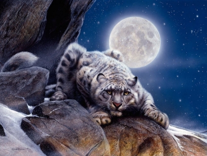 Picture of SNOW LEOPARD