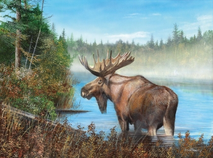 Picture of SOLO MOOSE