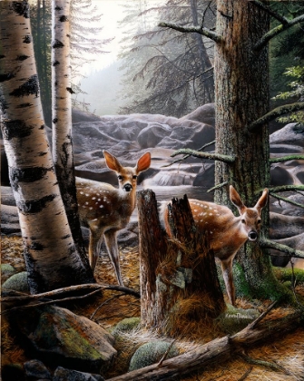Picture of FAWNS AT DAWN