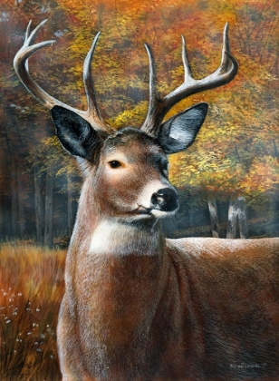 Picture of MAJESTIC BUCK