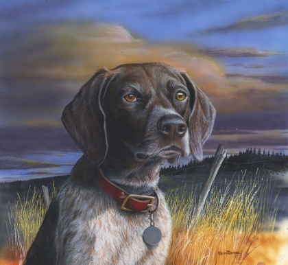 Picture of GERMAN SHORTHAIR