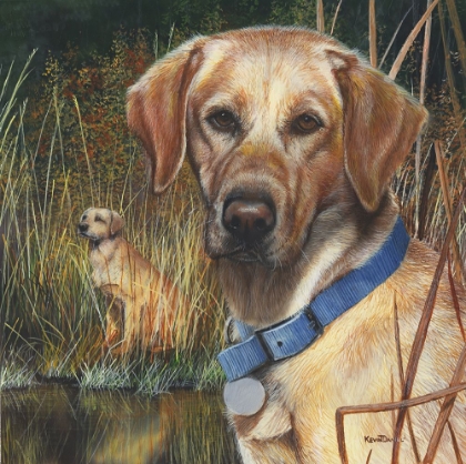 Picture of YELLOW LAB II