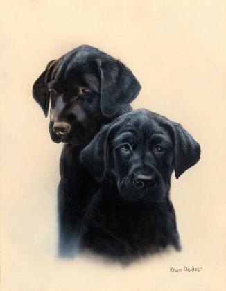 Picture of LAB PUPS
