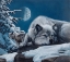 Picture of SLEEPLESS NIGHTS