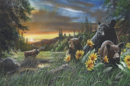 Picture of BASKING IN THE BALSAMROOT