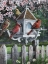 Picture of CARDINAL