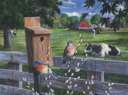 Picture of BLUE BIRDS AND LESS COWS