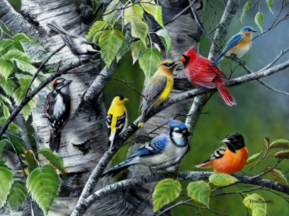 Picture of WILD BIRDS