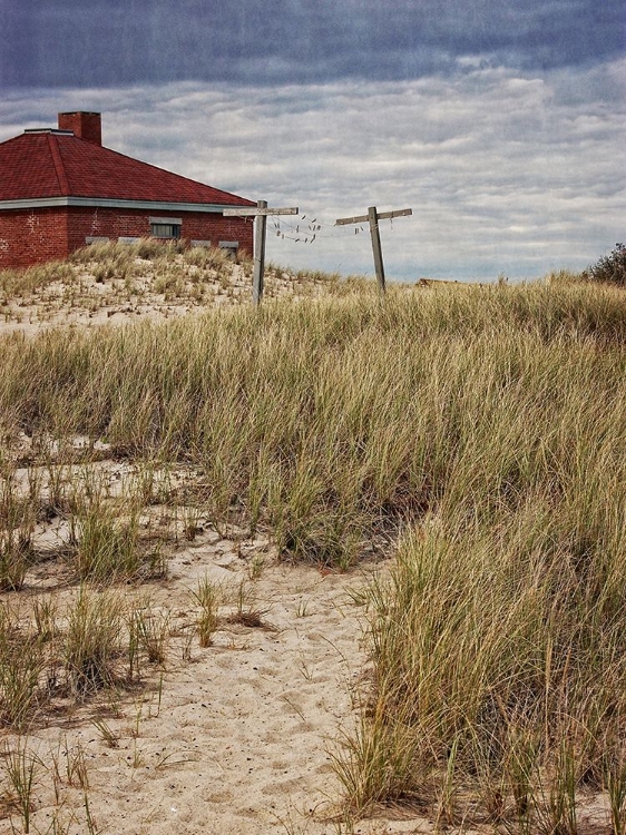 Picture of BEACH PATH