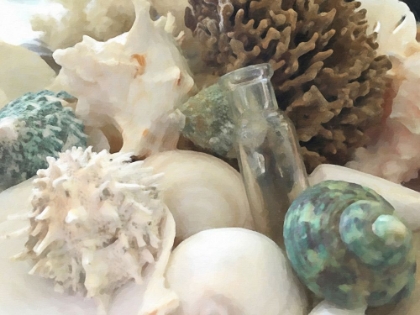 Picture of WHITE AND AQUA SHELLS PAINTED