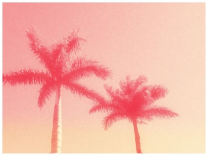 Picture of PALM TREES IN PINK