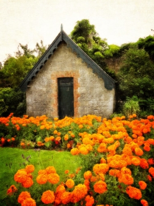 Picture of DROMOLAND GARDENS