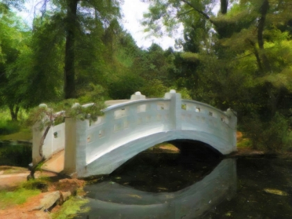 Picture of MOON BRIDGE