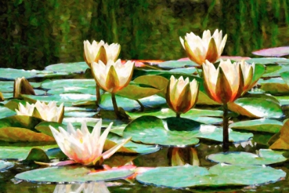 Picture of WATER LILIES A LA MONET