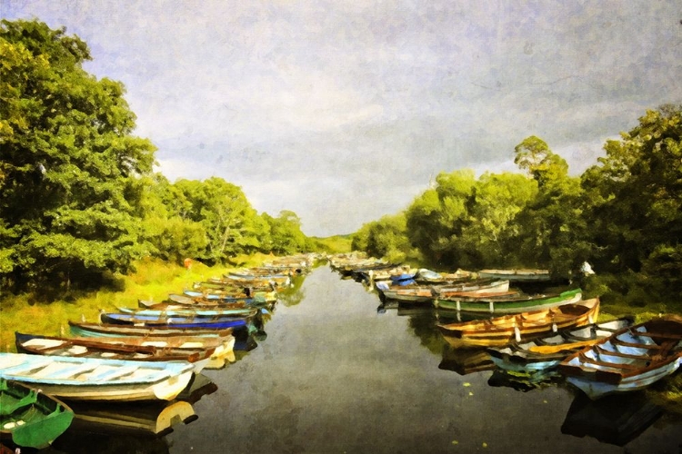 Picture of ROSS CASTLE ROW BOATS