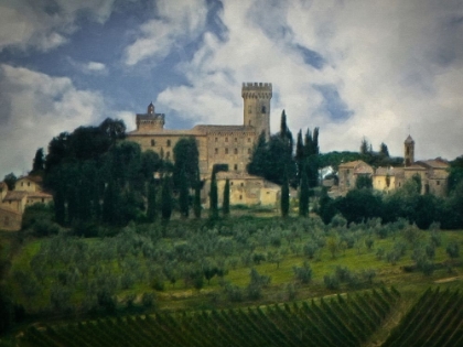 Picture of TUSCANY VINEYARD