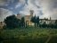 Picture of TUSCANY VINEYARD