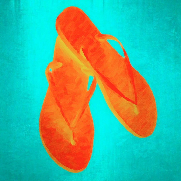 Picture of FLIPFLOPS SO FLY