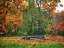 Picture of BLUE WAGON IN FALL