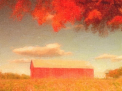 Picture of GLASTONBURY BARN IN FALL