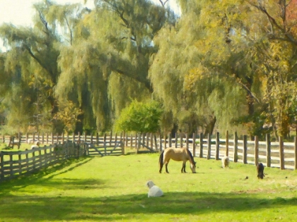 Picture of RIVERVIEW FARMS