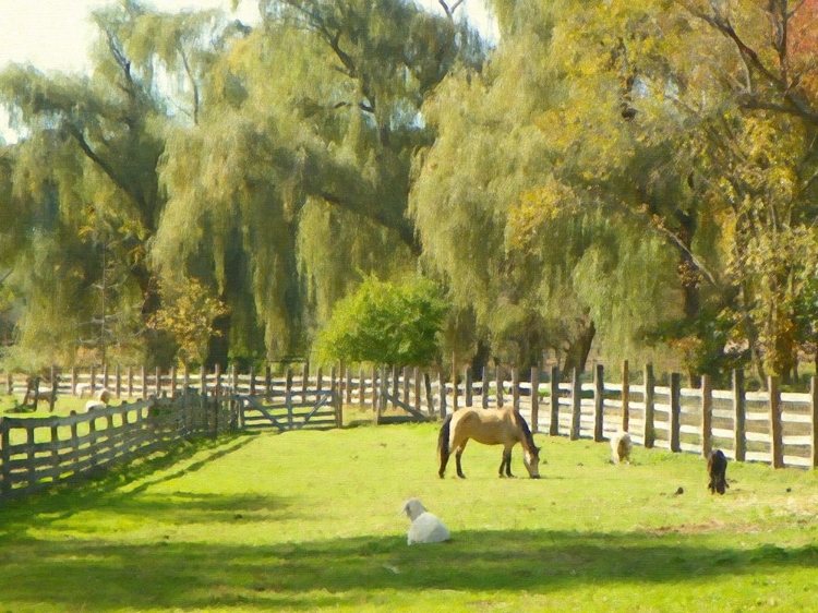 Picture of RIVERVIEW FARMS