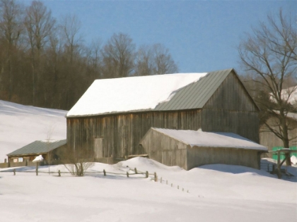 Picture of WINTER IN THE GLEN