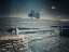 Picture of BUTTERNUT FARM TREE