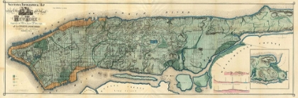 Picture of 1865 NYC MAP