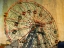 Picture of WONDER WHEEL CONEY ISLAND
