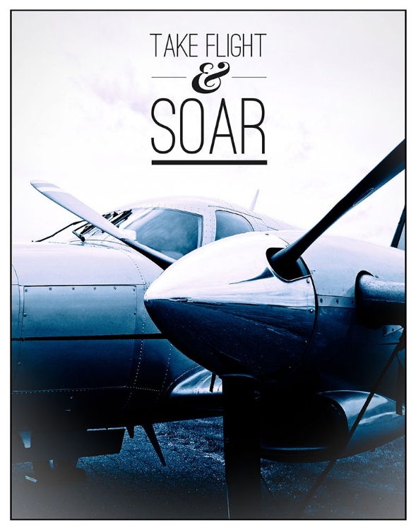 Picture of TAKE FLIGHT AND SOAR