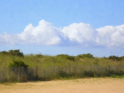 Picture of BEACH DUNE