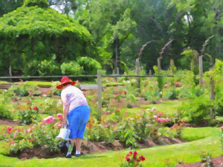 Picture of WOMAN ADMIRING ROSES