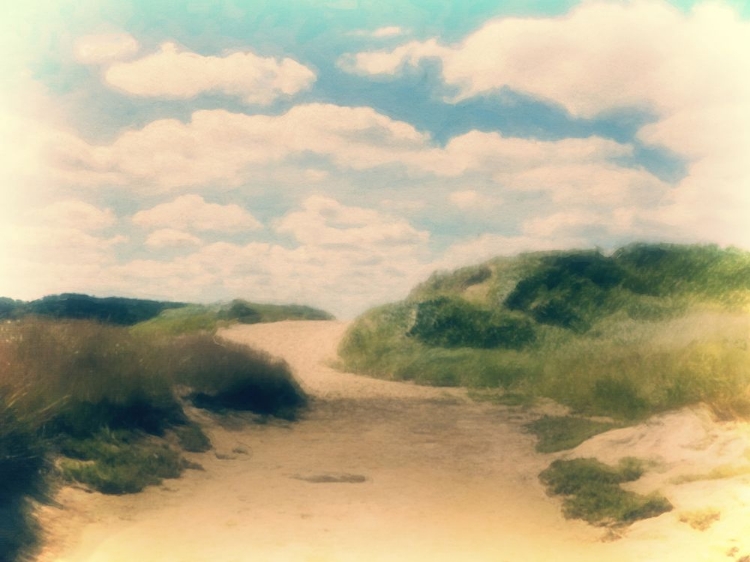 Picture of DUNES IN PINK