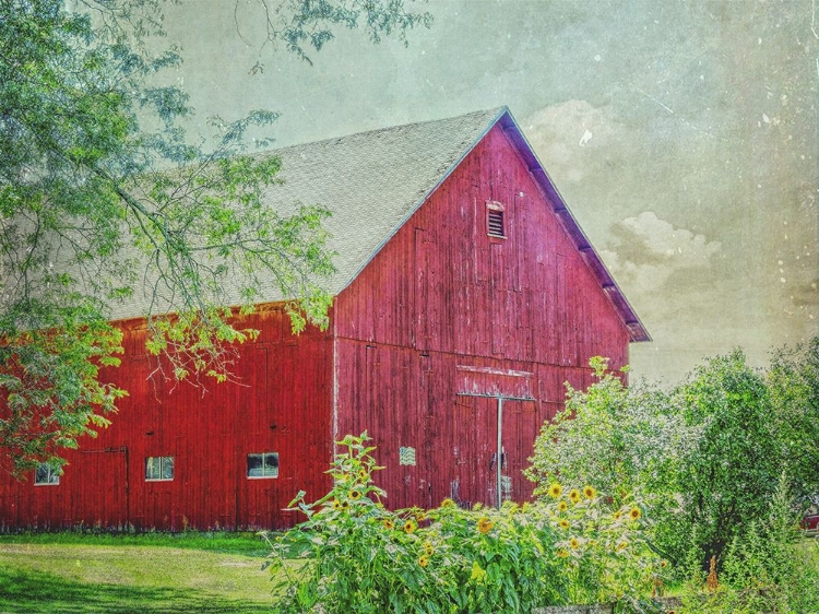 Picture of GUTT FARM BARN