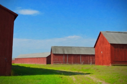 Picture of WINDSOR TOBACCO BARNS