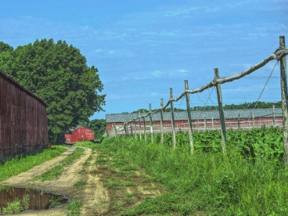 Picture of COUNTRY ROAD