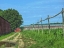 Picture of COUNTRY ROAD