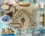 Picture of ANTIQUE SAIL THE OCEAN BLUE