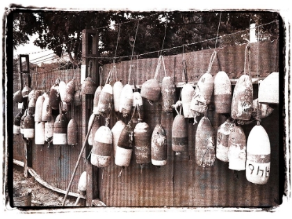 Picture of ROUGH AND TUMBLE BUOYS