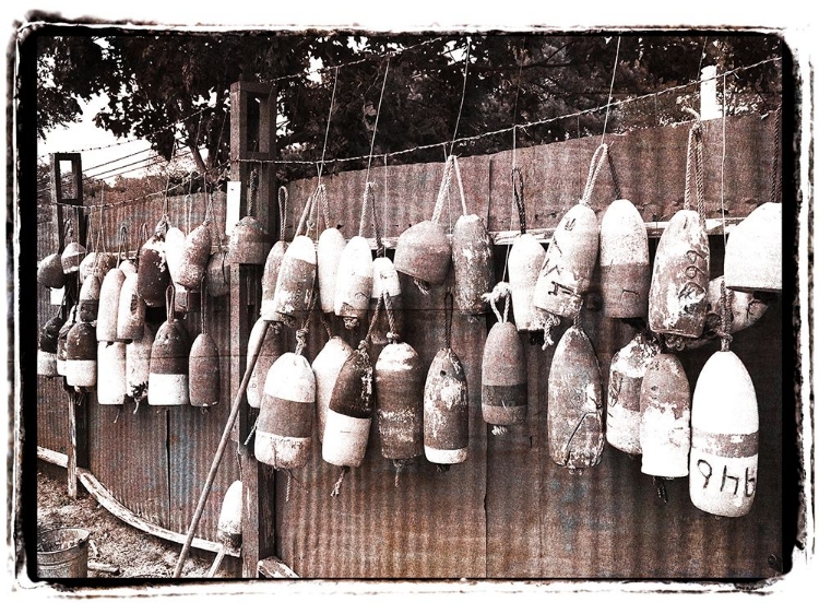 Picture of ROUGH AND TUMBLE BUOYS