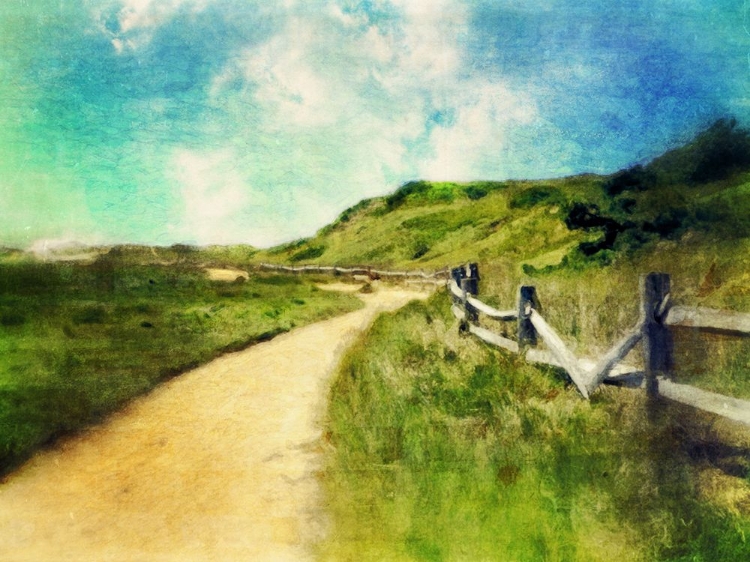 Picture of GREAT ISLAND DUNE WALK