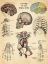 Picture of ANATOMY OF HUMAN BODY