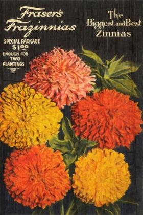 Picture of BIGGEST AND BEST ZINNIAS