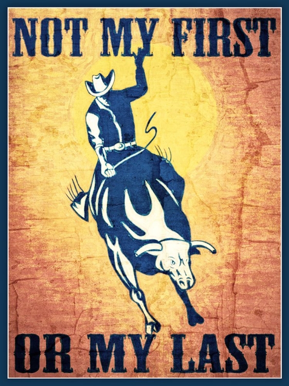 Picture of NOT MY FIRST RODEO