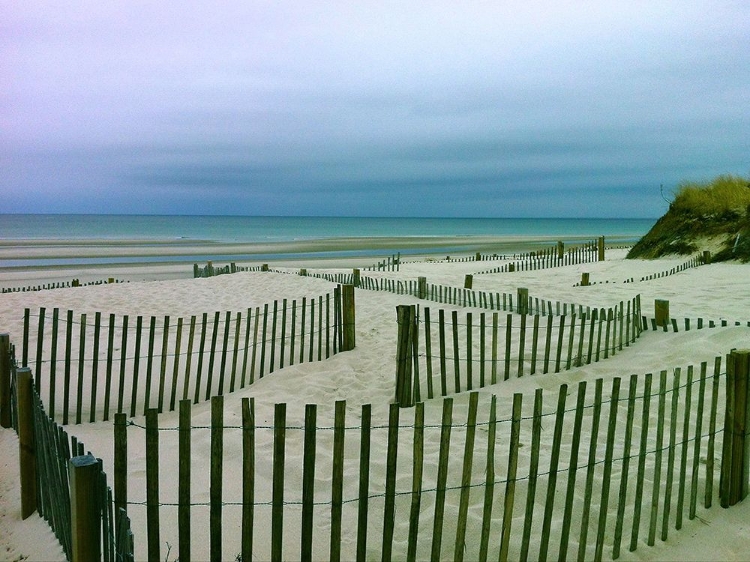 Picture of BEACH SOLITUDE