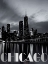 Picture of CHICAGO SKYLINE BNW